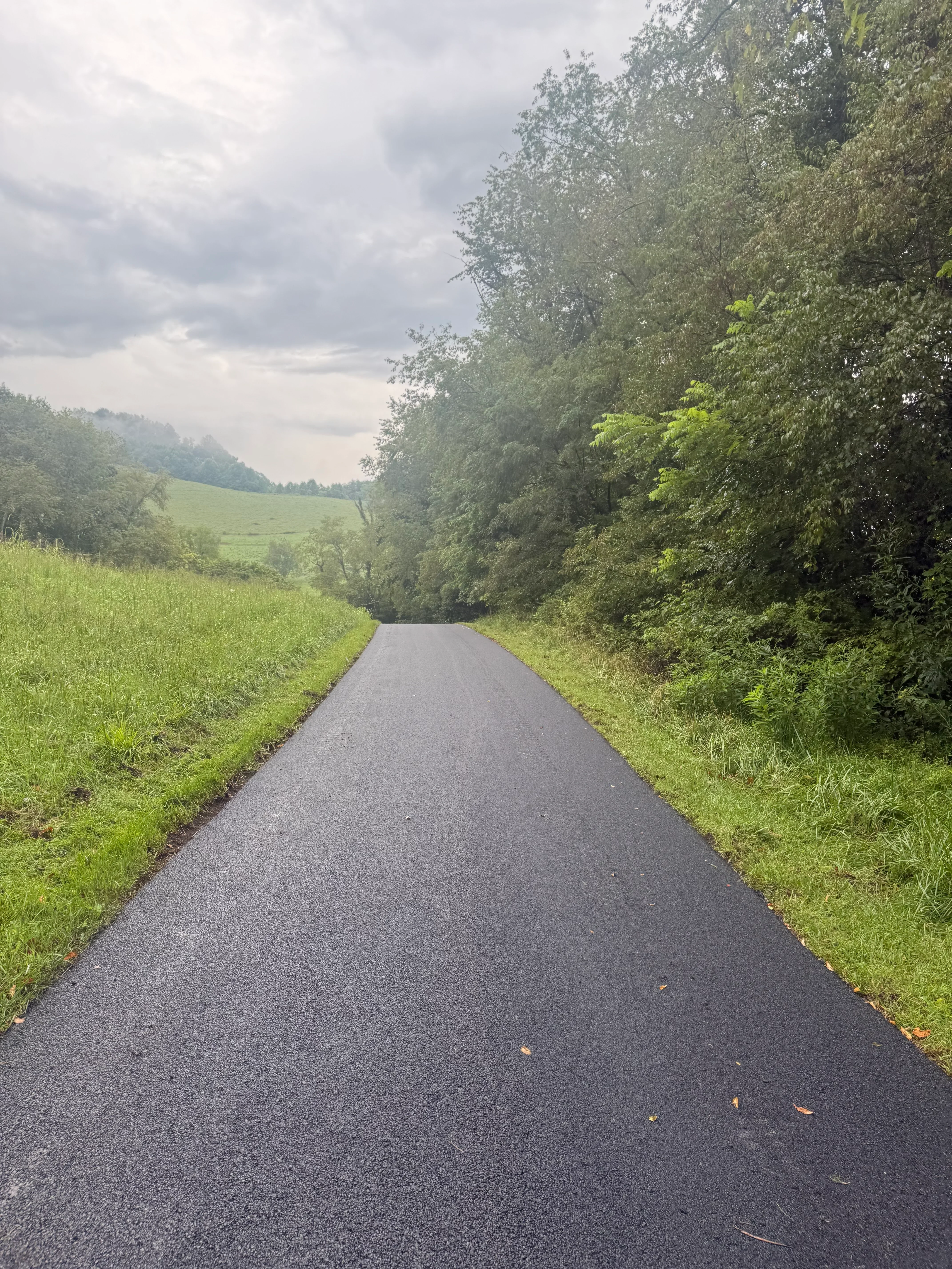 Newly paved asphalt driveway through wooded area with trees lining both sides